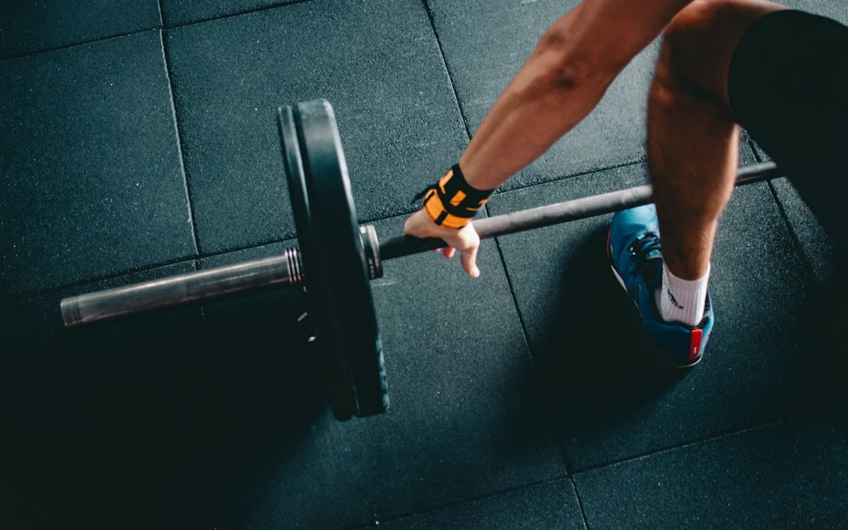 Body composition, fitness assessment and muscle-to-fat ratio evaluation