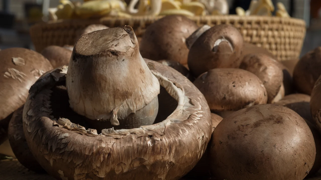 Fresh whole brown crimini and button mushrooms arranged in a market basket, showcasing natural savoury umami texture with low calorie density