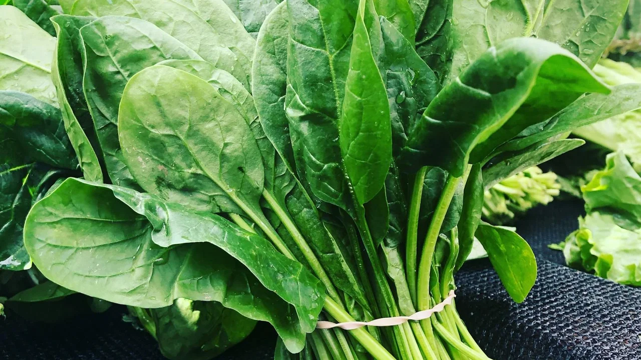Fresh bunch of vibrant green spinach and kale leaves providing high dietary fibre and essential micronutrients